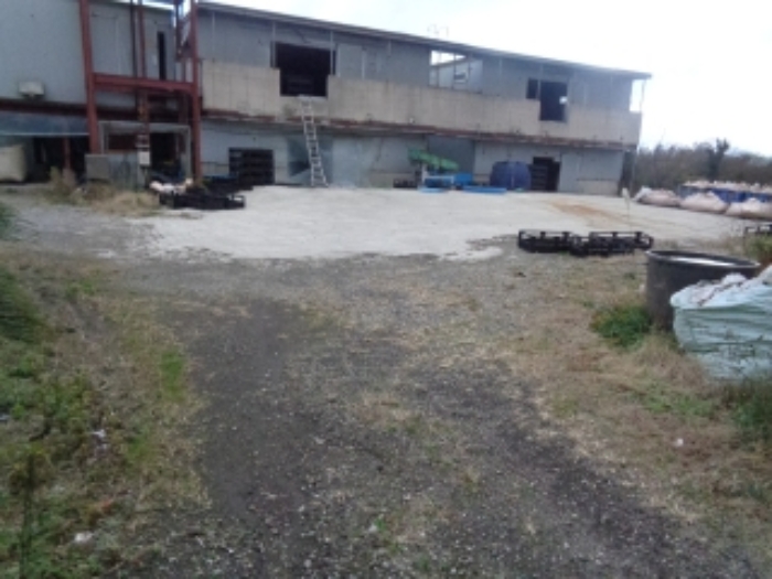 소재지1(금악리