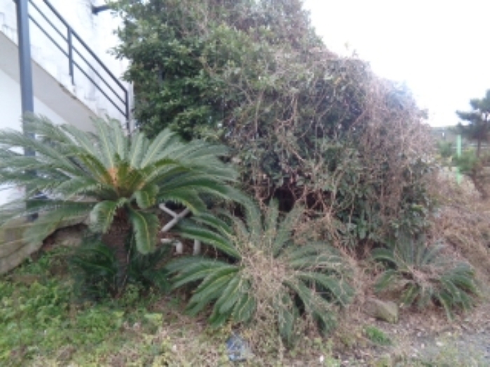 소재지1(금악리