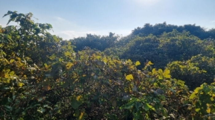 소재지1(수산리 3492) 전경1