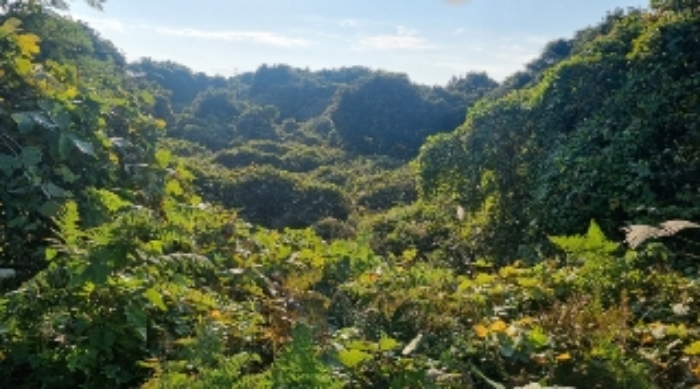 소재지2(수산리 3495-1) 전경