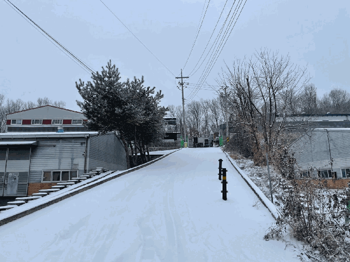 본건 기호(4),(9),(10) 전경