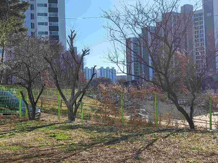 제시 목록 1 부동산 전경(제시 외 정원수)