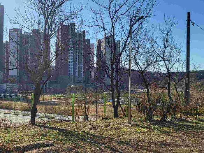 제시 목록 1 부동산 전경(제시 외 정원수)