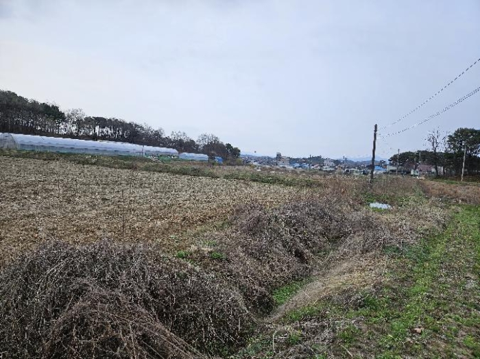 제시 목록 6 전경