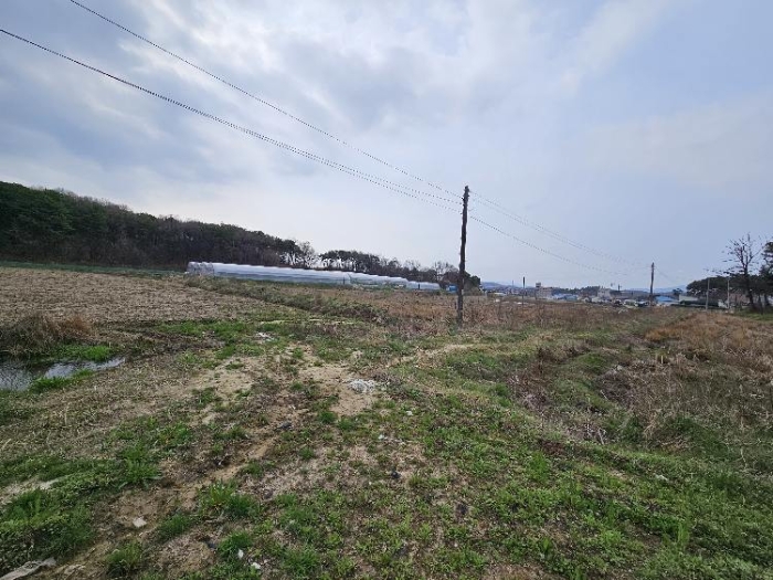 제시 목록 6 전경