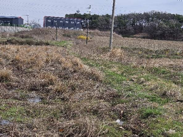 제시 목록 6 전경