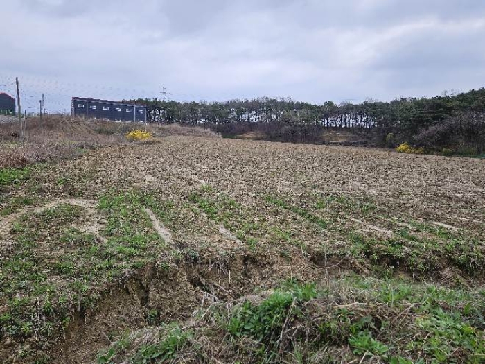 제시 목록 7, 9 전경