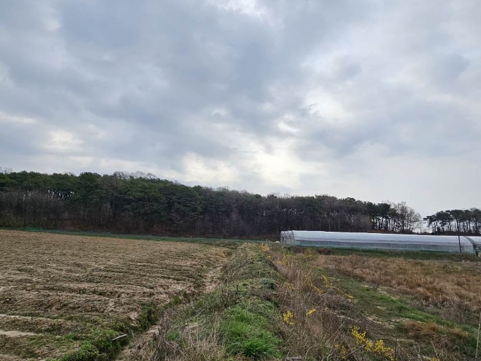 제시 목록 8 전경