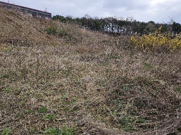 제시 목록 10 전경