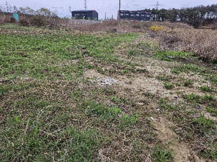 제시 목록 11 전경