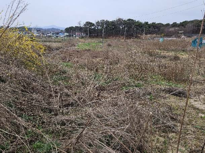 제시 목록 11 전경