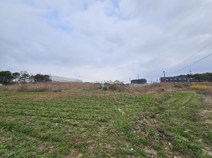 제시 목록 12 전경