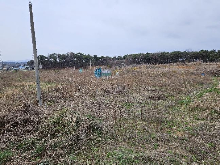 제시 목록 12 전경