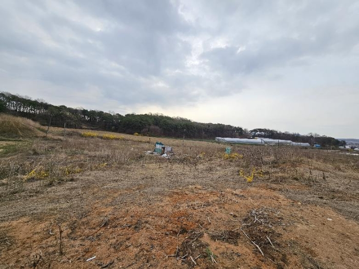 제시 목록 12 전경