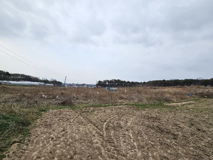 제시 목록 12 전경