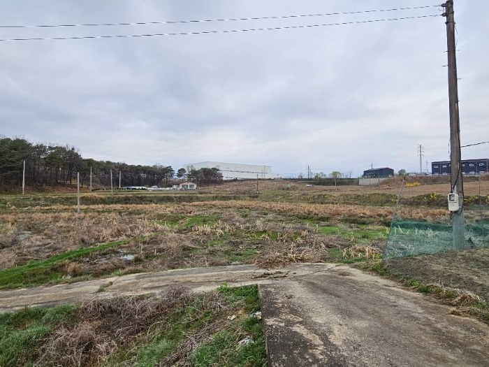 제시 목록 13 전경