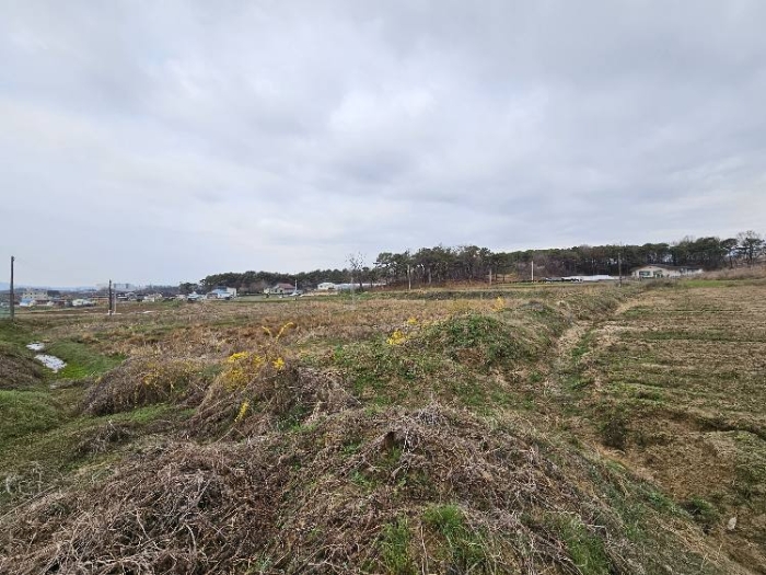 제시 목록 13 전경