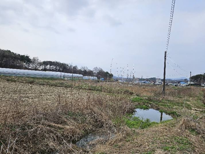 제시 목록 13 전경