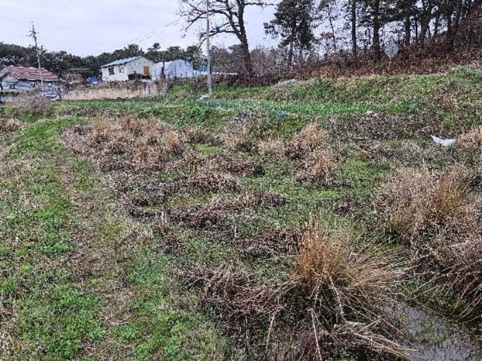 제시 목록 14 전경