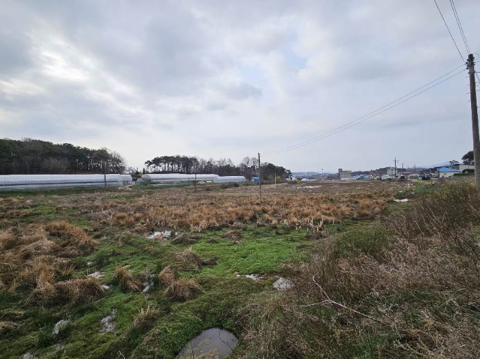 제시 목록 15 전경