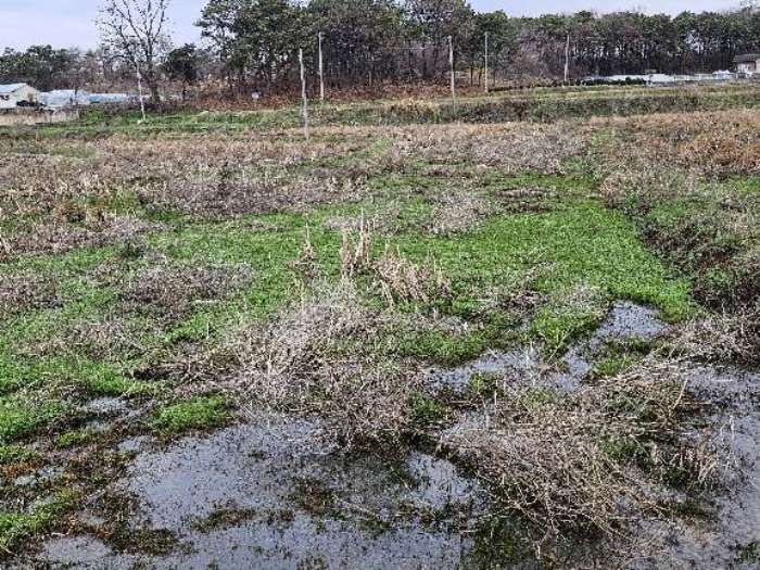 제시 목록 15 전경