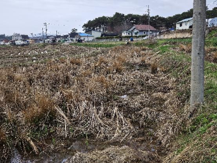 제시 목록 16 전경