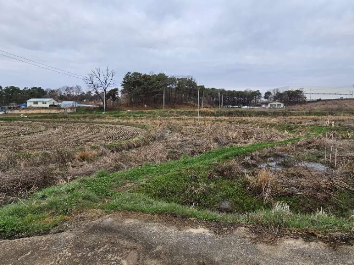 제시 목록 17 전경