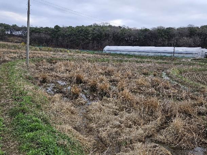 제시 목록 17 전경