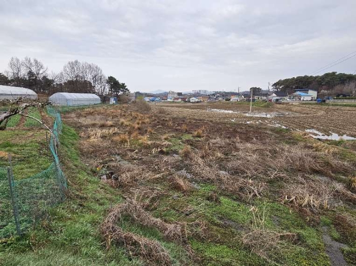 제시 목록 18 전경