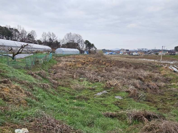 제시 목록 18 전경