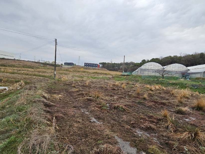 제시 목록 19 전경