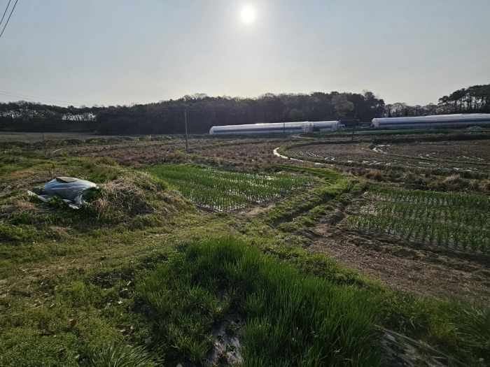 사업지 전경 (서측에서 촬영)