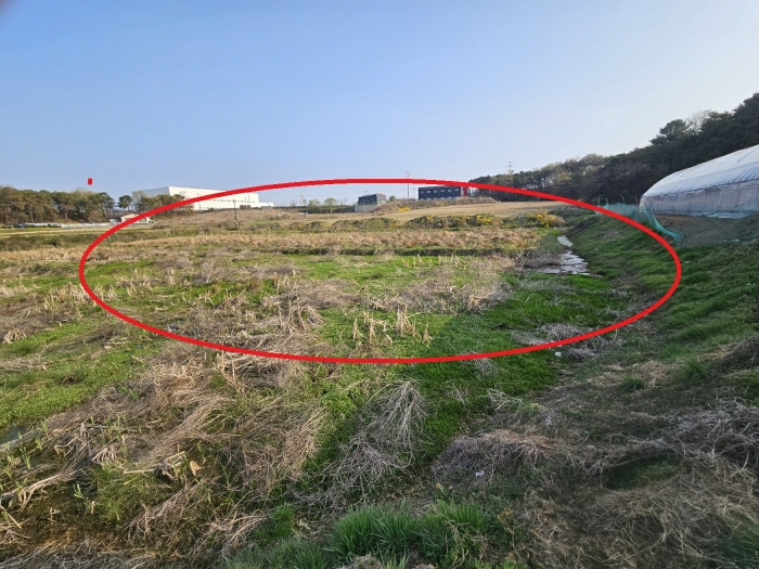 사업지 전경( 남동측에서 촬영)