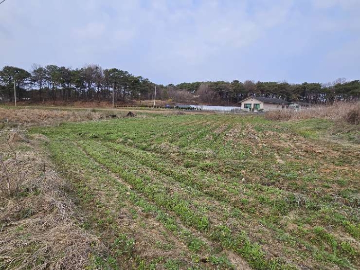 제시 목록 3 전경