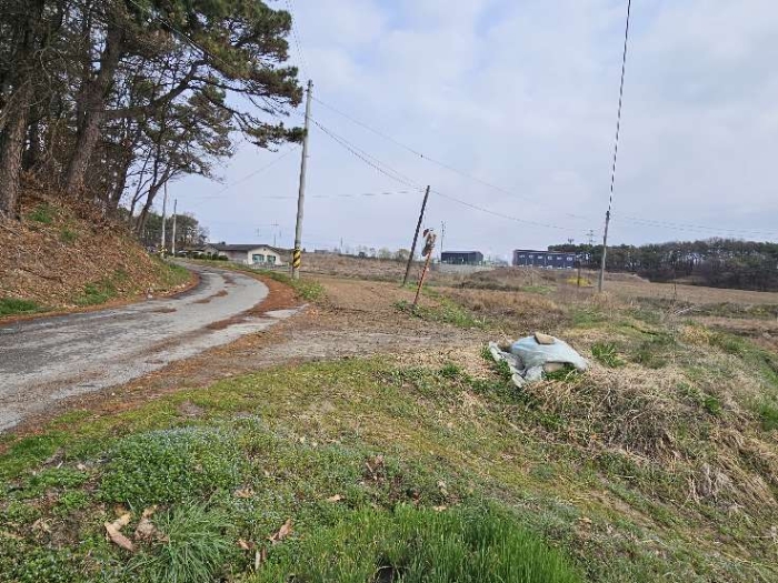 제시 목록 4 전경