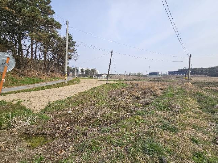 제시 목록 5 전경