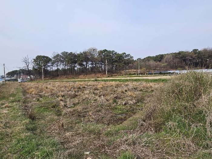 제시 목록 5 전경