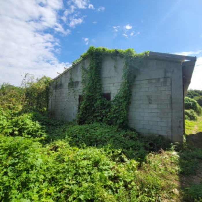 목록2 건물(단층 축사-우사)