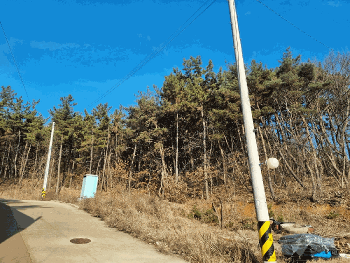 [본건 기호(3)토지 전경]