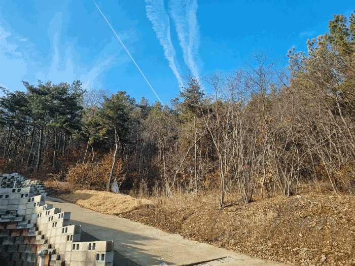 [본건 기호(1),(5)토지 전경]