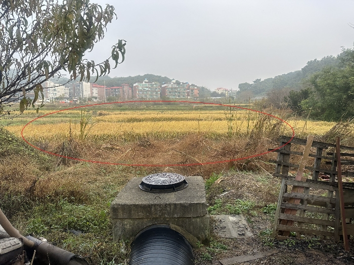 본건 전경(본건 남동측 부분)