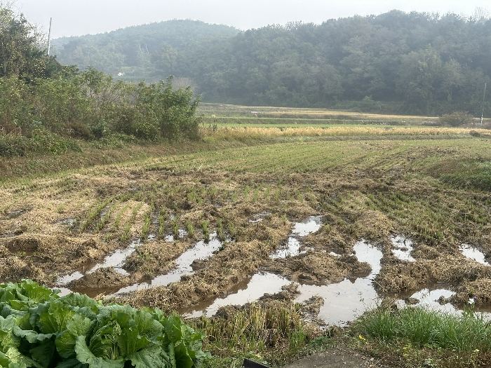 본건전경(본건 남서측 부분)