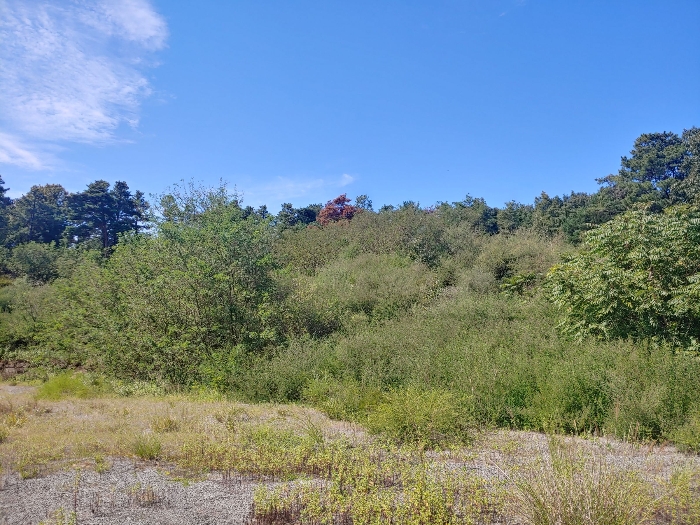 일련번호 1, 2) 소재 법면