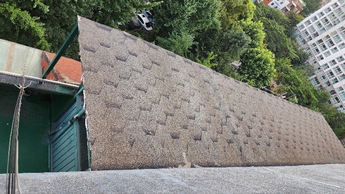 제시외건물(근거리)