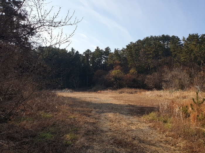 일련번호 1 토지