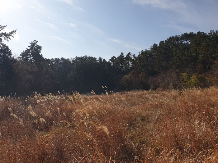 일련번호 1,3,4 토지