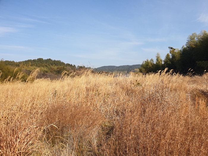 일련번호 2,5,6,7 토지