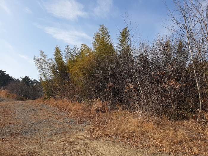 일련번호 7 토지