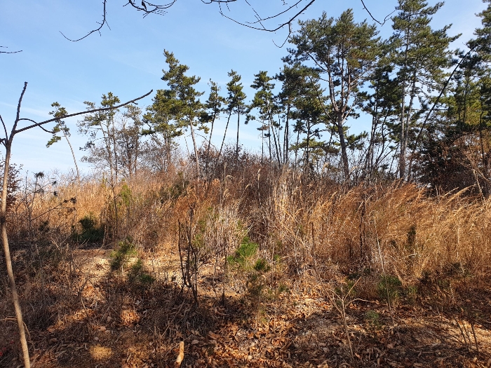 일련번호 8 토지