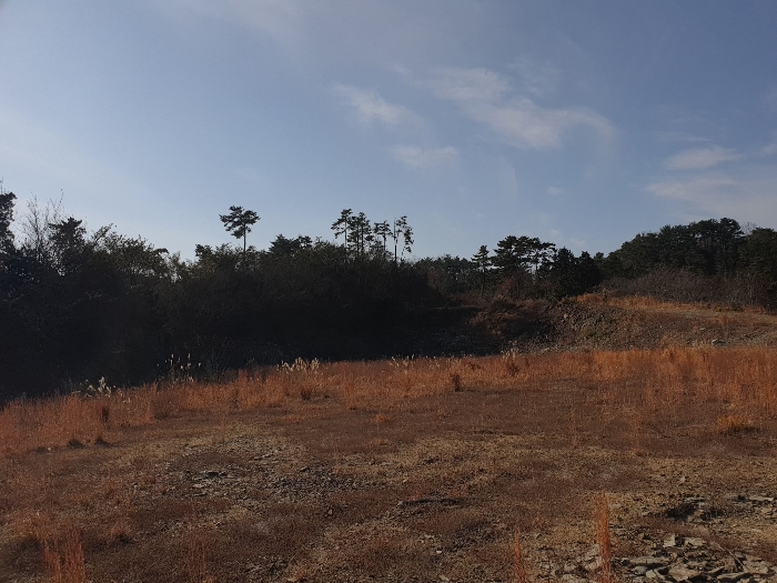 일련번호 9,10 토지